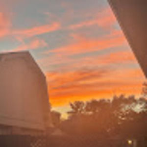 Meet your Posher, Selena